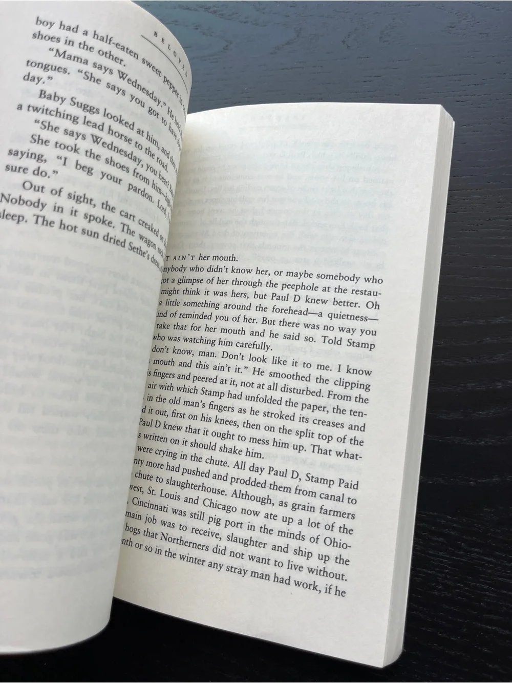 Vintage International Beloved Toni Morrison Paperback Red Book Approx 8 Inch